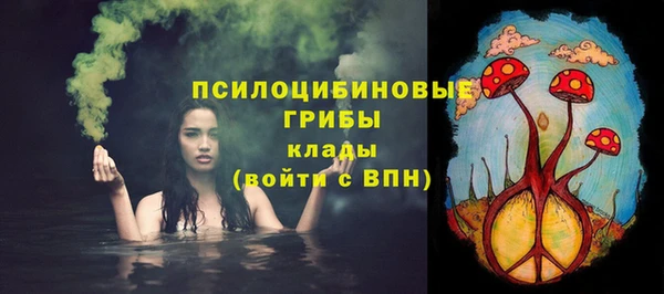 a pvp Арсеньев