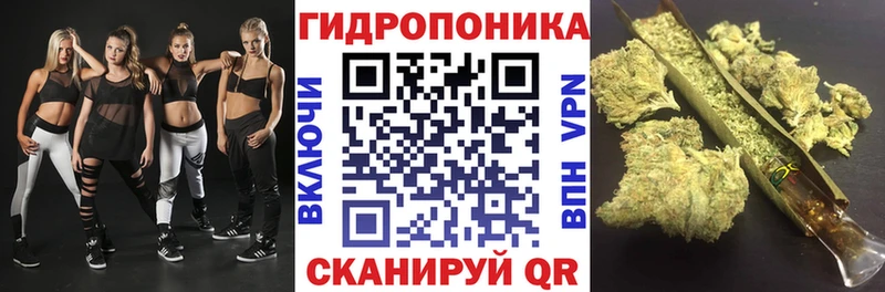 купить Мирный Бошки Шишки LSD WEED